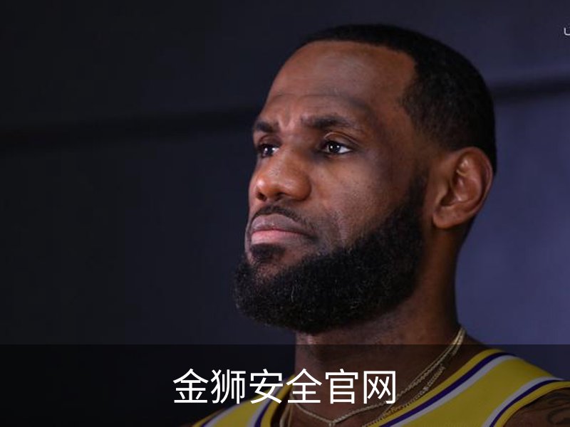 金狮安全官网简介